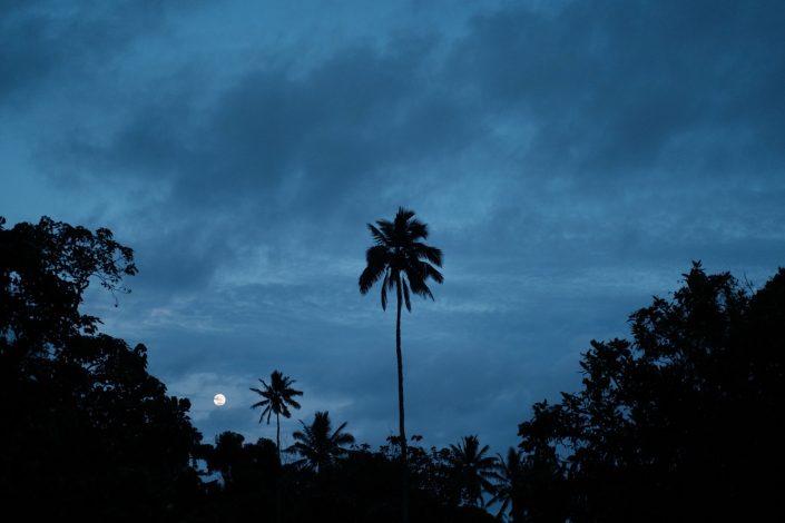 Cook Islands, 2018 | UT-on-the-shore-cook-islands-2018-X-11303