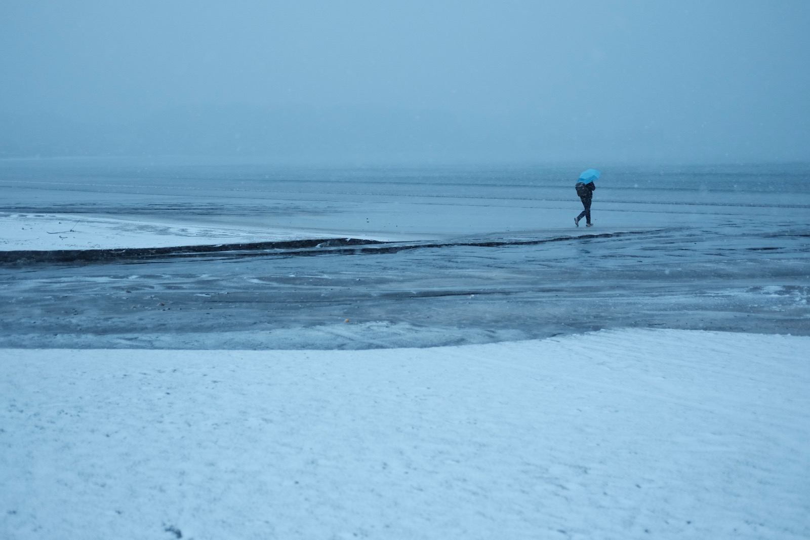 Kamakura, 2024 | ID: UT-on-the-shore-kamakura-2024-X-0683