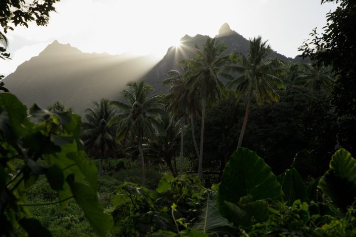 Cook Islands | ID: OTSC-2