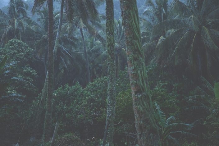 Cook Islands | ID: OTSC-3