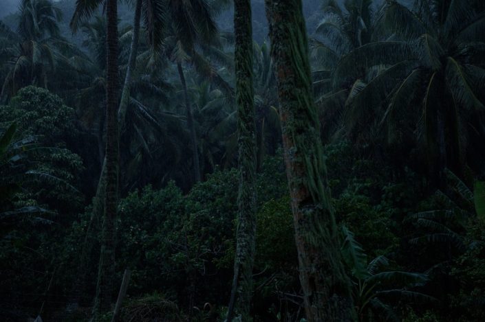 Cook Islands | ID: OTSC-3