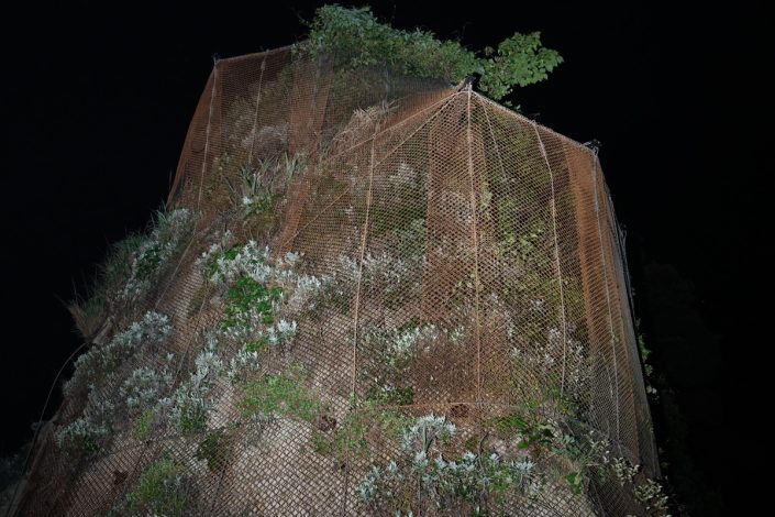 Kamakura | ID: OTSK-15