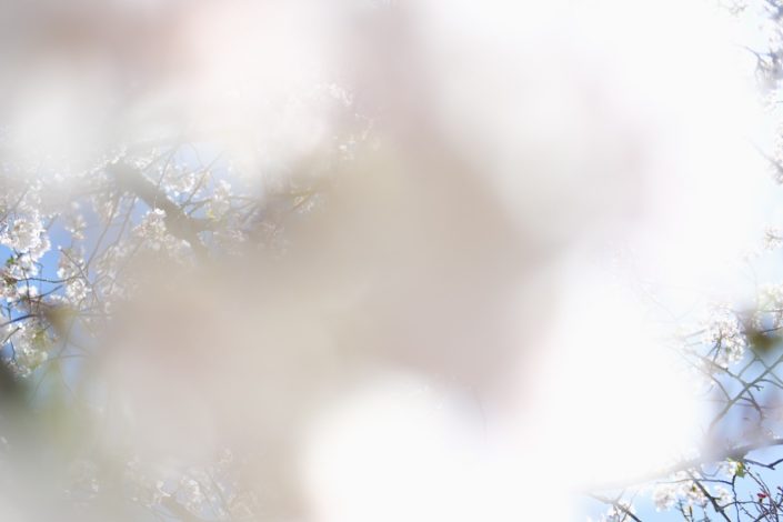 Kamakura | ID: OTSK-7