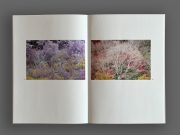 清水健個展図録 - Pale Blue Dot・Japan