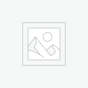 プレースホルダー